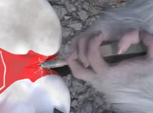 巨猿袭来 (4)